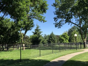 Exclusive dog park